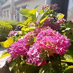 La Fermette Du Marais Hébergement de vacances Rue (Somme)