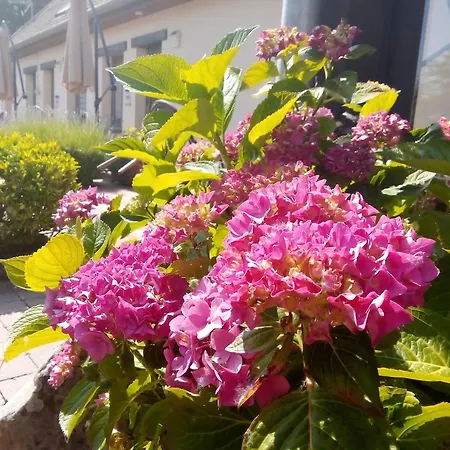 La Fermette Du Marais 펜션 뤼